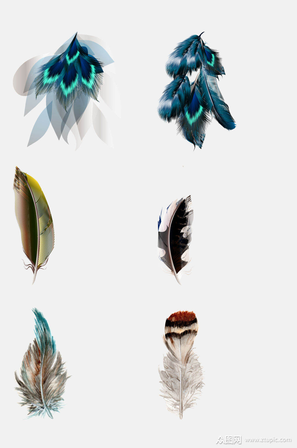彩色漂亮创意羽毛素材