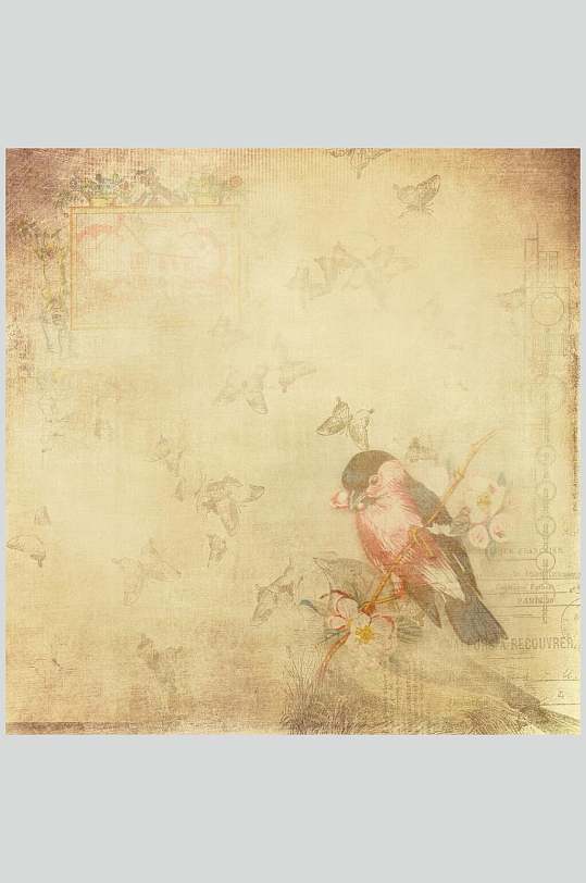 中国风花鸟牛皮纸羊皮纸纹理贴图图片