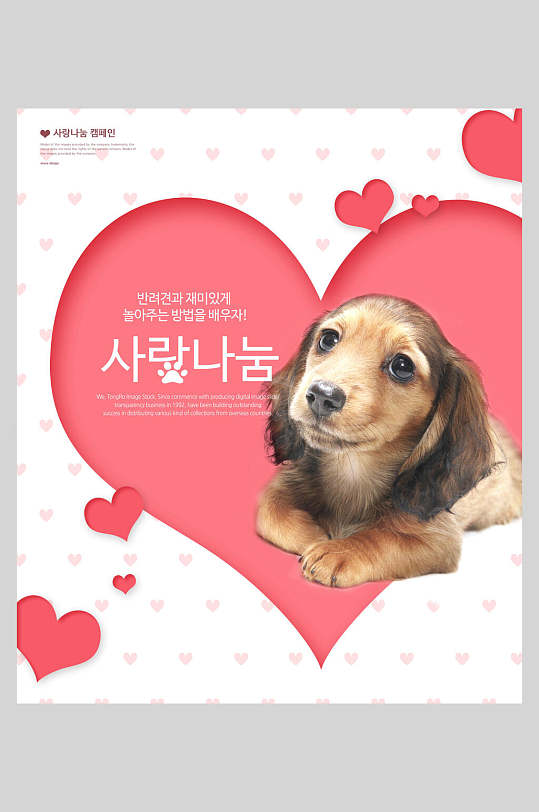 韩式狗狗封面情人节爱心海报