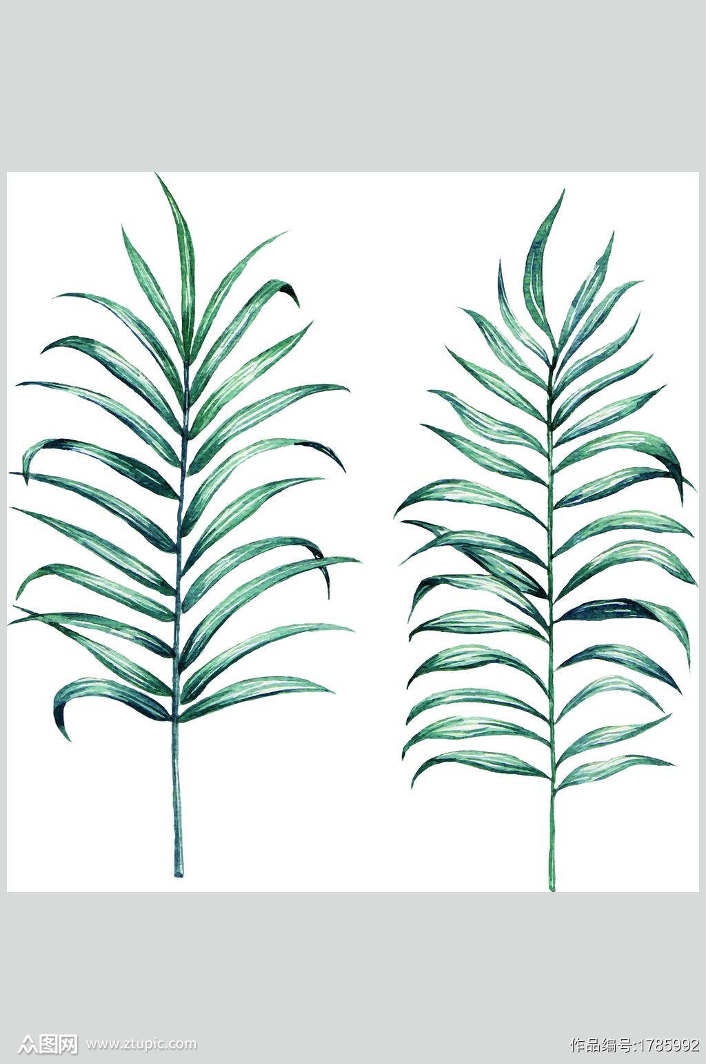 北欧植物龟背叶元素素材模板下载 编号 众图网 北欧植物龟背叶元素素材模板下载 编号 众图网