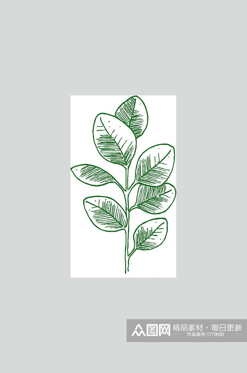 手绘画小清新植物叶子元素素材素材