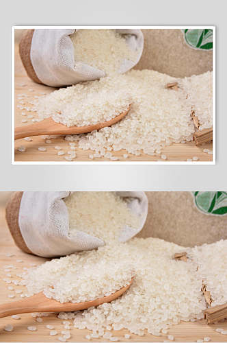 东北米饭大米粮食摄影图片