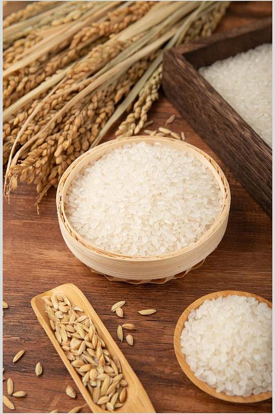 水稻米饭大米粮食摄影图片