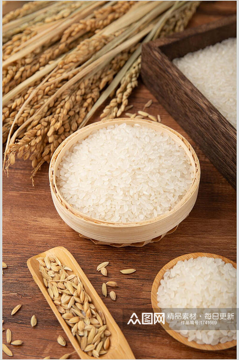 水稻米饭大米粮食摄影图片素材