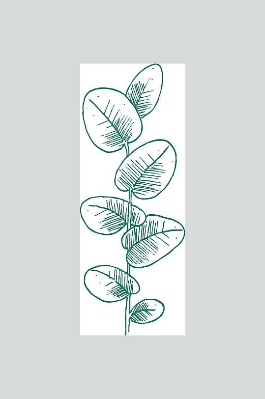 圆叶绿色小清新植物叶子素材