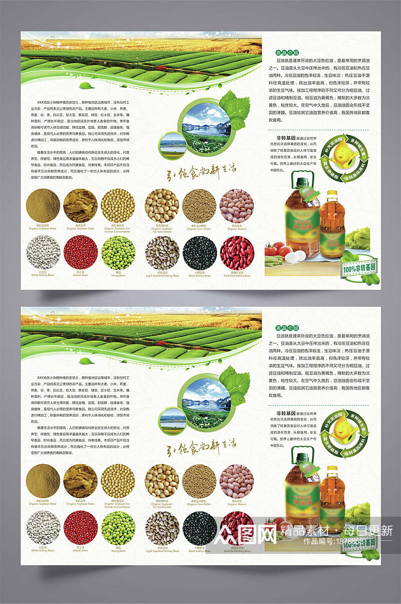 清新农产品三折页宣传单素材