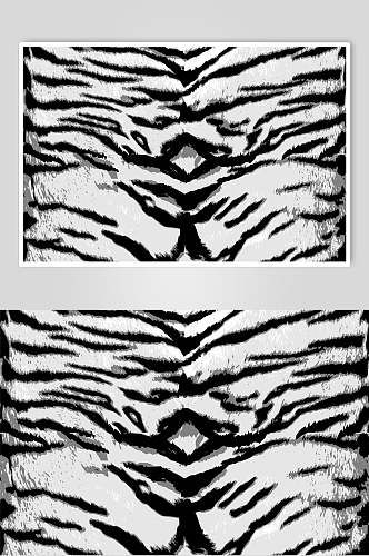 黑白动物纹路贴图素材