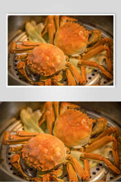大闸蟹螃蟹美食特写摄影图片