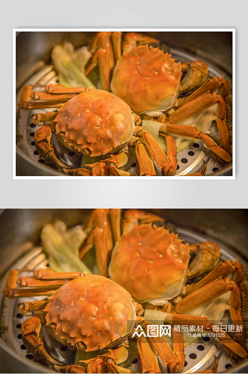 大闸蟹螃蟹美食特写摄影图片素材