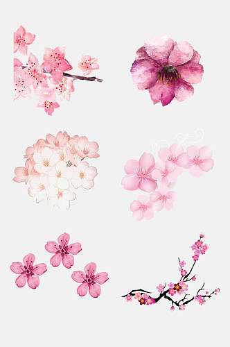 水彩粉色樱花素材