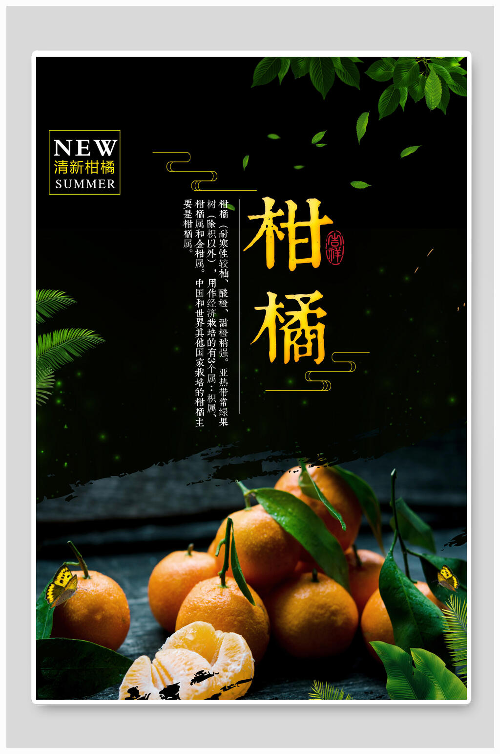 广告促销水果橘子橙汁冷饮海报展板水果橘子新品上新促销海报水果沙田
