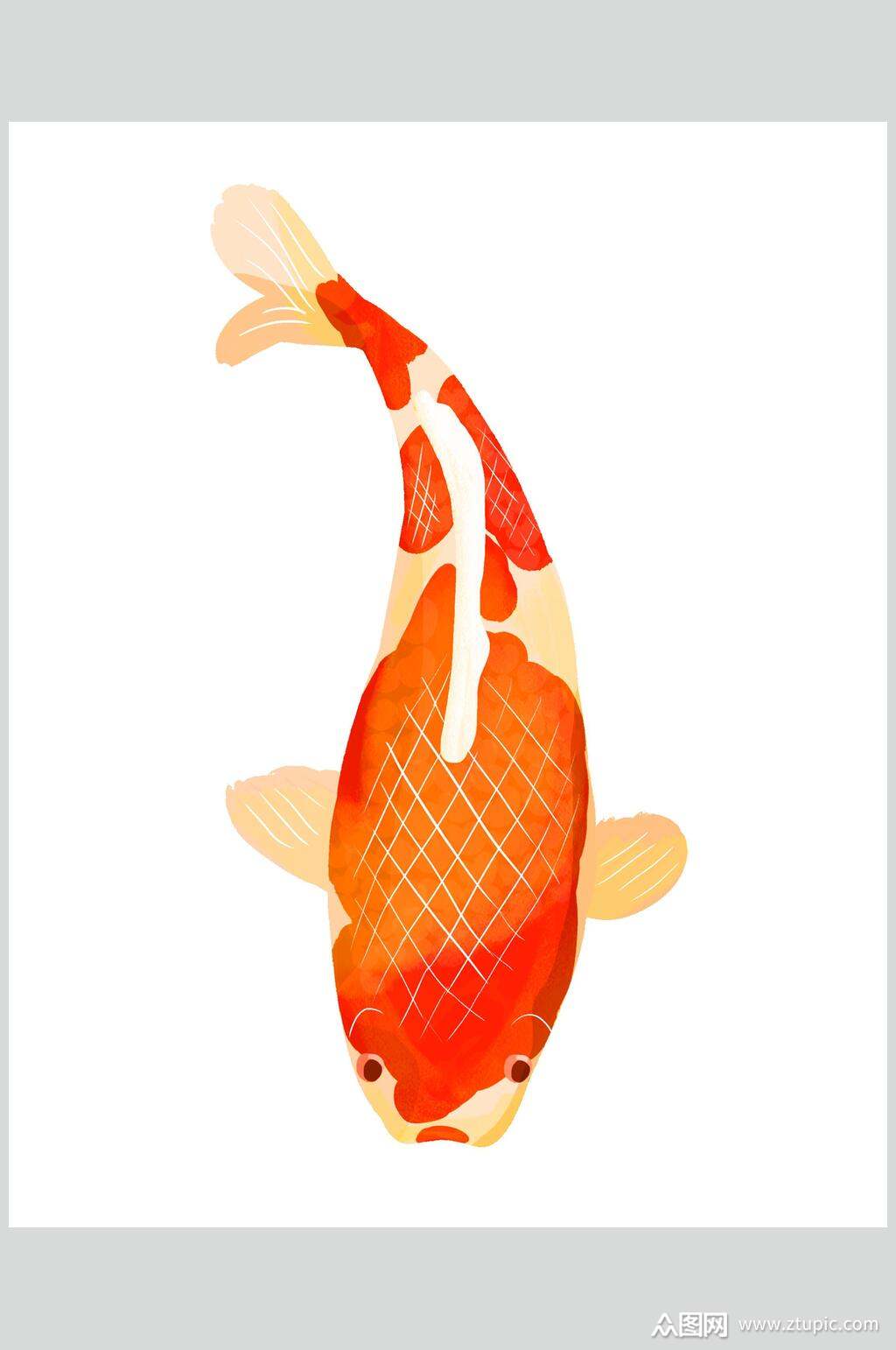 可爱锦鲤鲤鱼设计元素素材