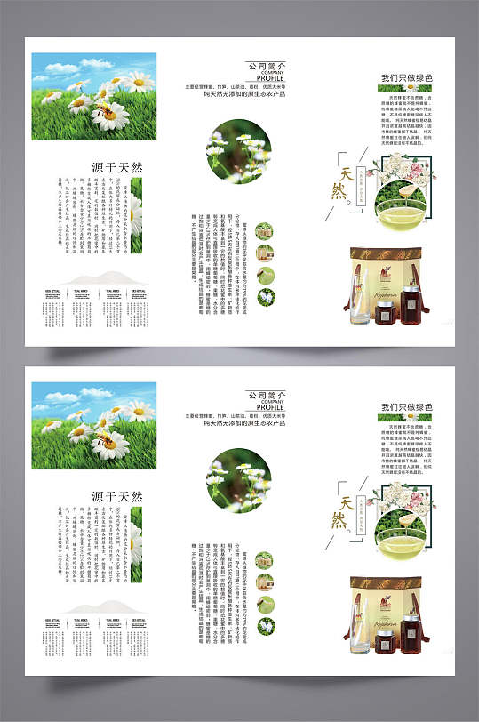 纯天然绿色茶叶三折页设计模板