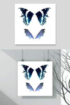 两只蓝色蝴蝶素材