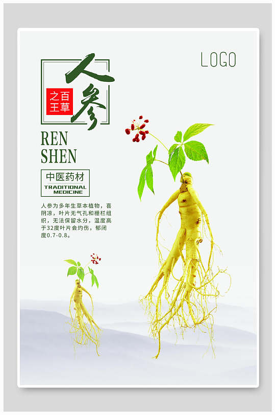 中医养生人参药材海报