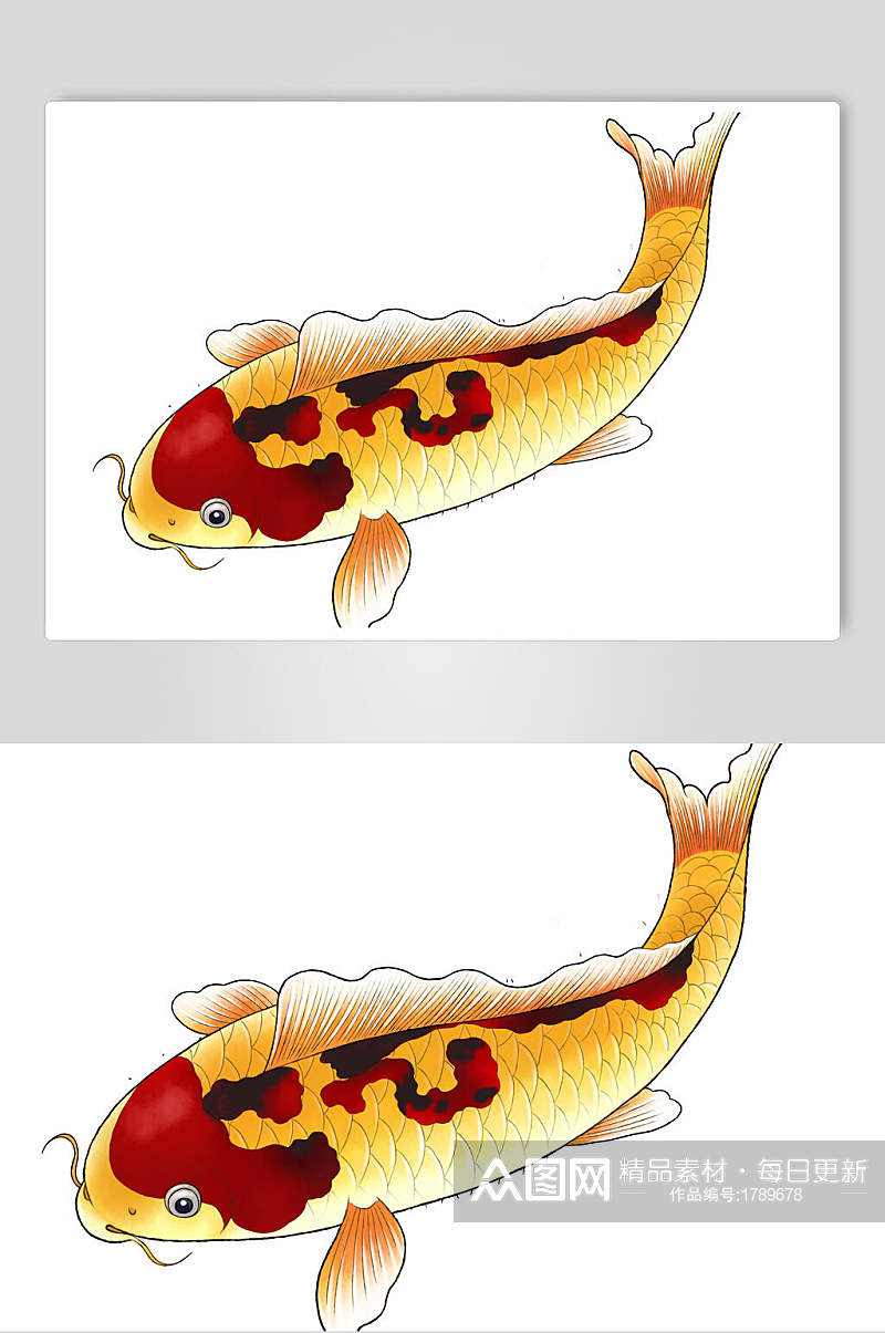 一条金色黄斑锦鲤鲤鱼设计元素素材