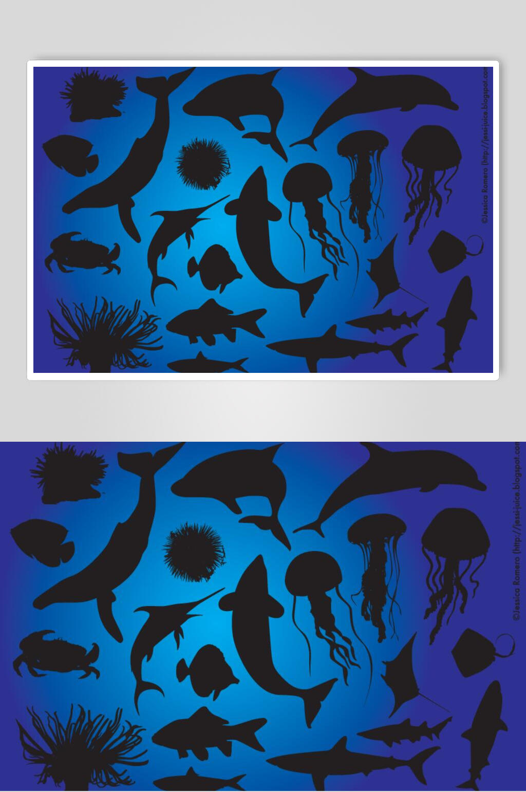 海底动物影子图片