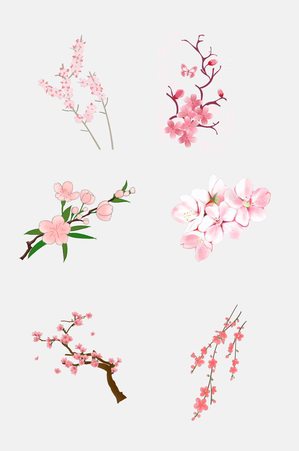 醉美樱花节梅花节素材元素素材