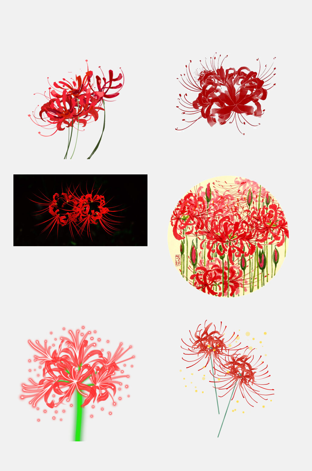 红色彼岸花曼珠沙华花卉元素素材