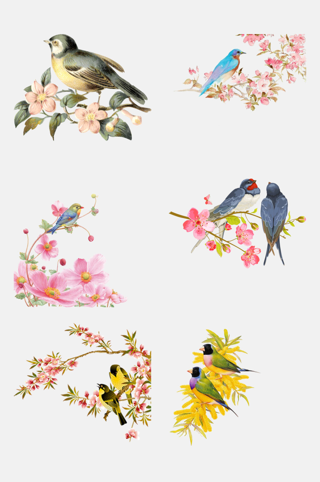 手绘工笔水墨花鸟装饰画元素素材