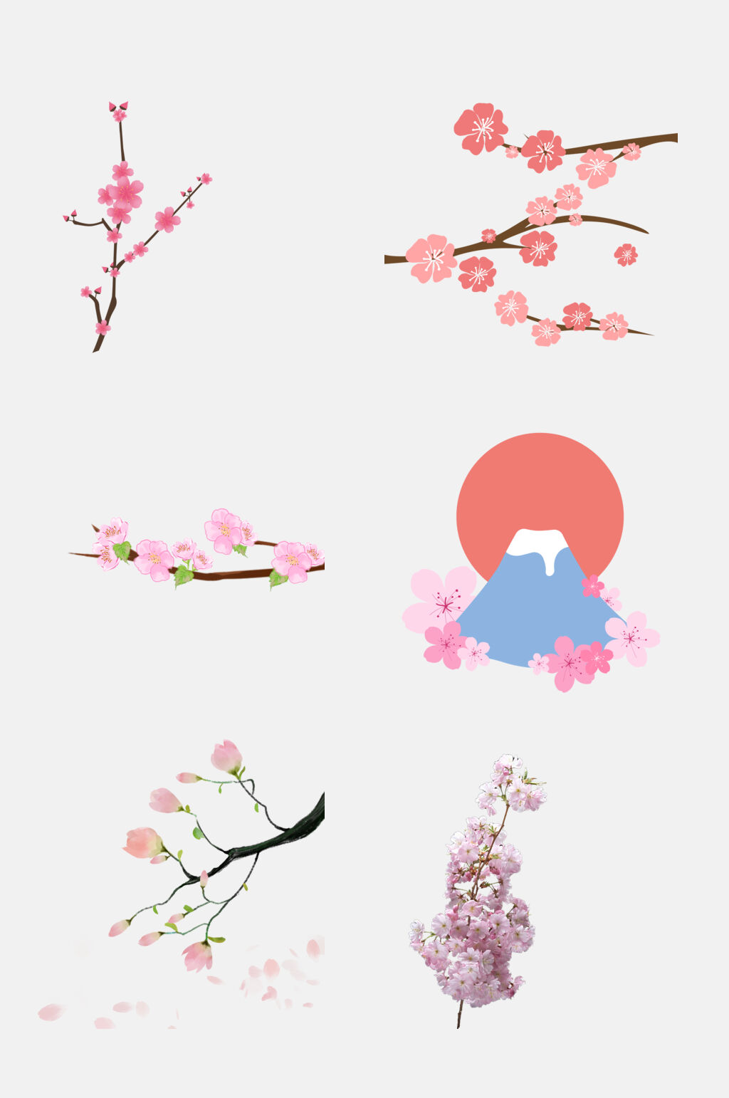 简约樱花节梅花节素材元素素材