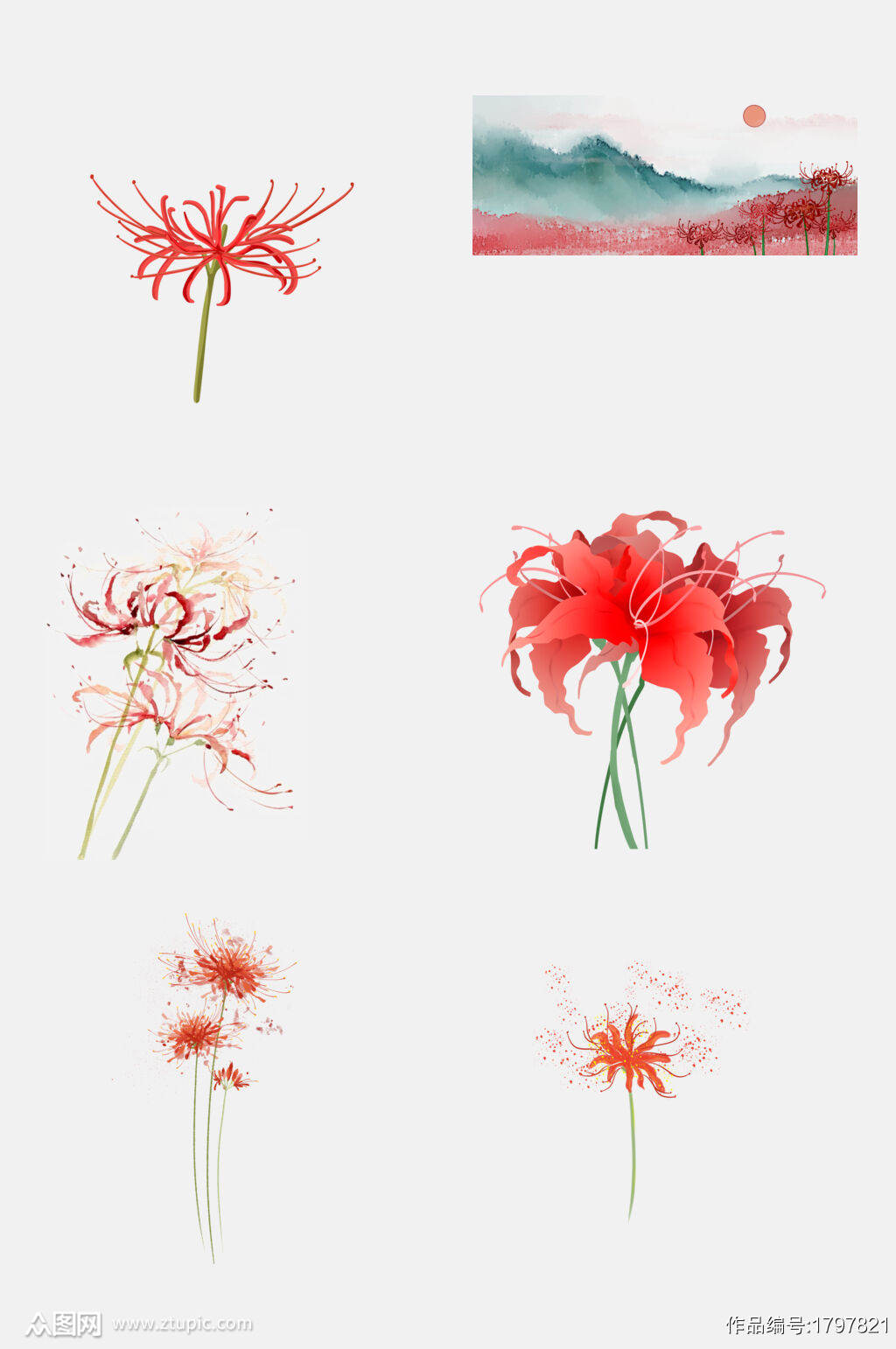 手绘画彼岸花曼珠沙华花卉元素素材模板下载 编号 众图网 手绘画彼岸花曼珠沙华花卉元素素材模板下载 编号 众图网