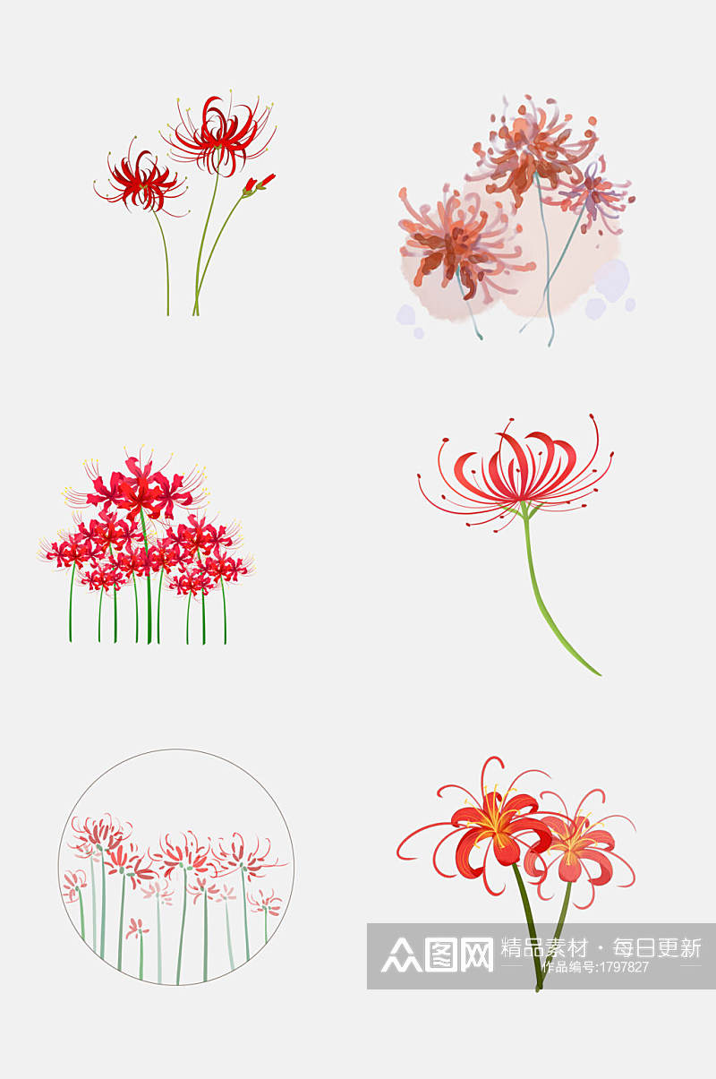 红色手绘画彼岸花曼珠沙华花卉元素材素材