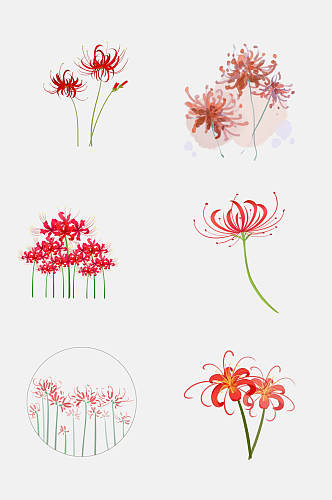 红色手绘画彼岸花曼珠沙华花卉元素材