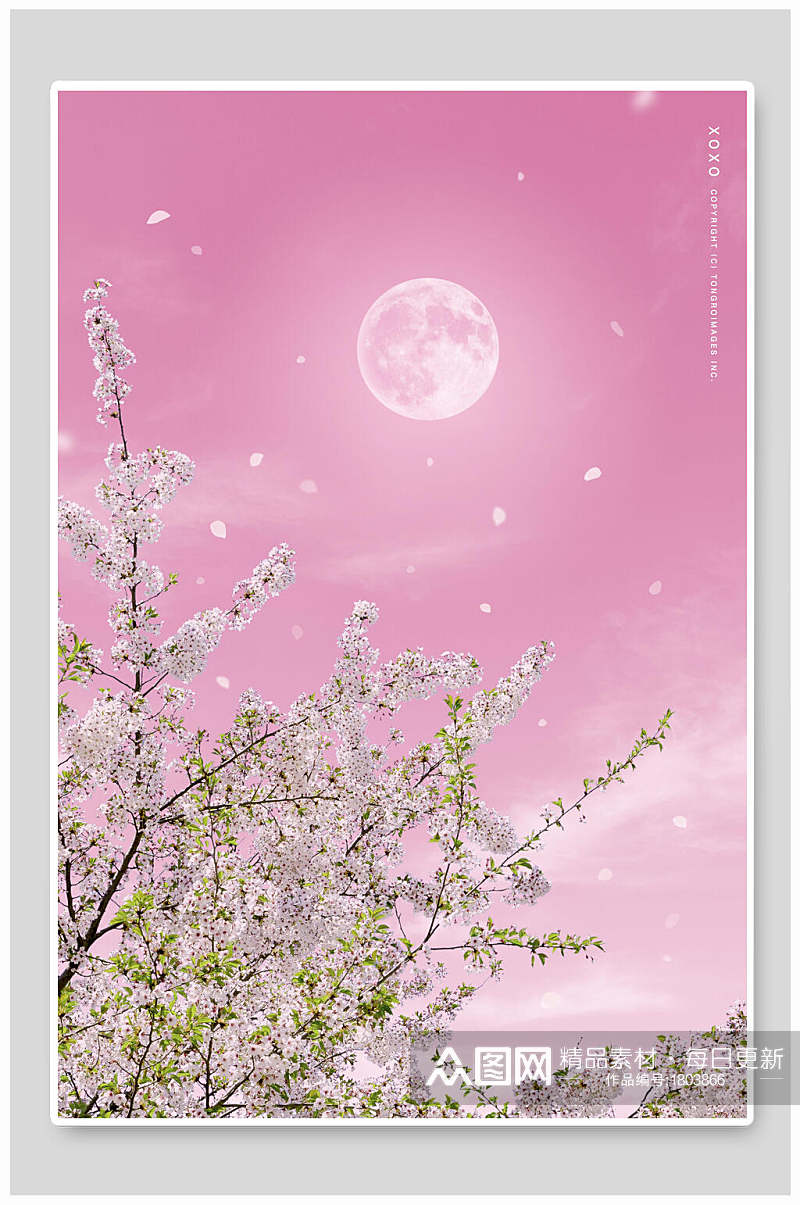 粉色花月亮情人节背景素材