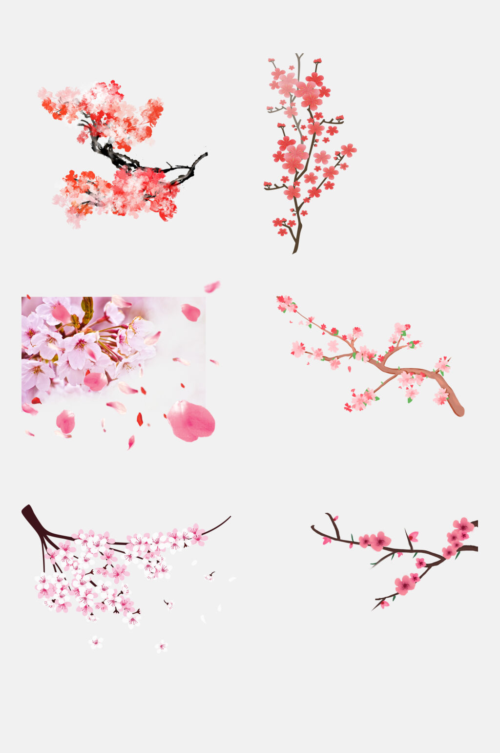 清新樱花节梅花节素材元素素材