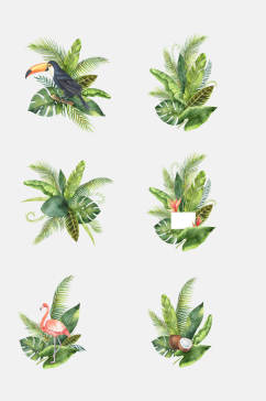 清新水彩热带植物火烈鸟免抠元素素材