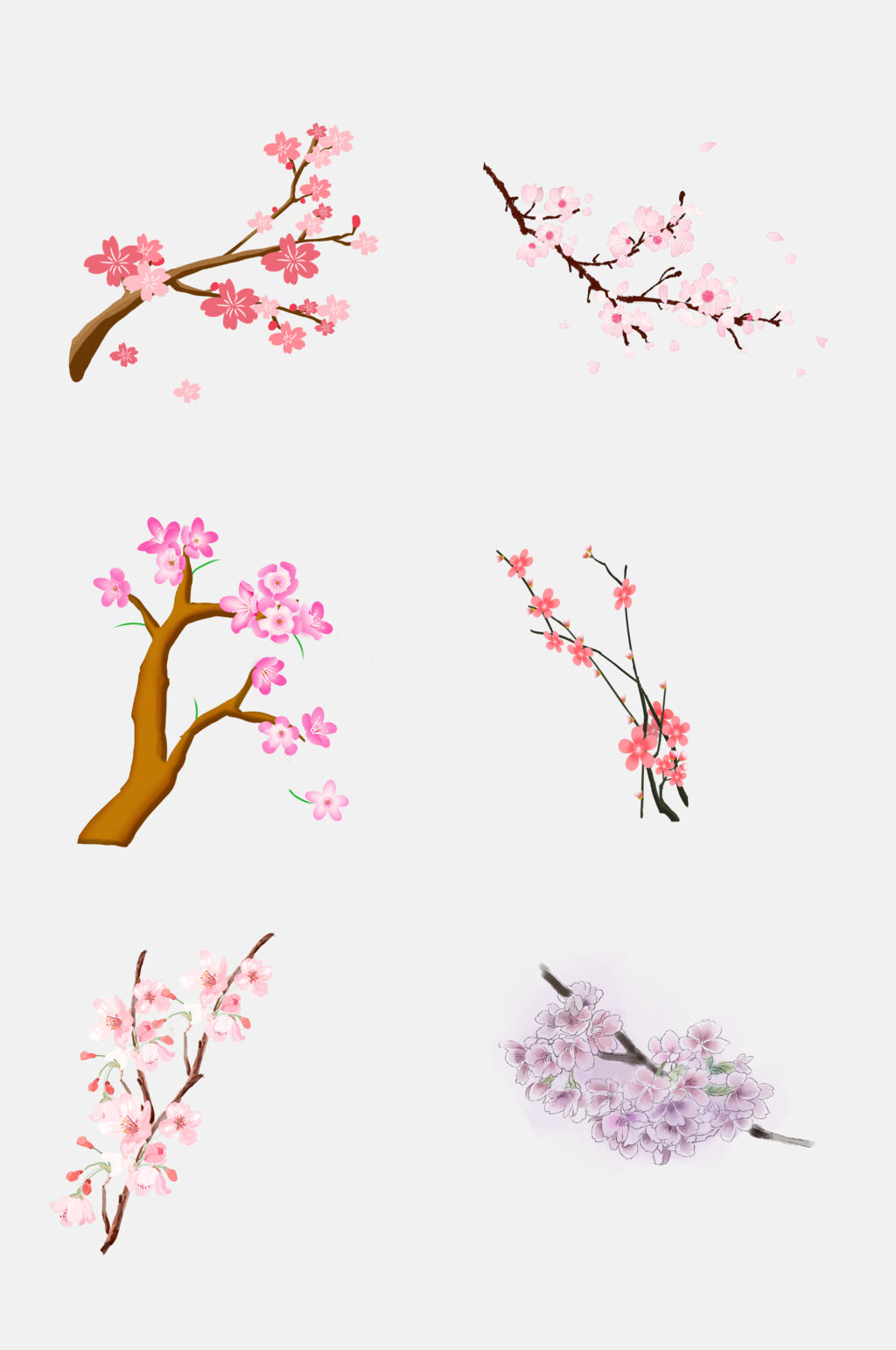 盛开樱花节梅花节素材元素素材