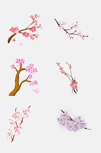 盛开樱花节梅花节素材元素