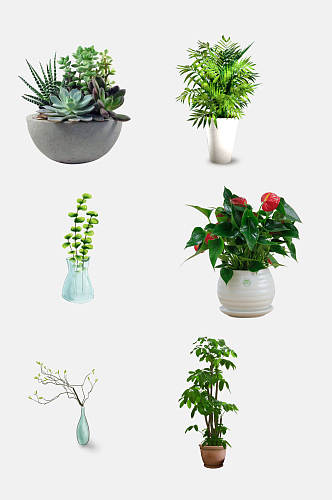 盆栽植物背景素材免抠元素素材