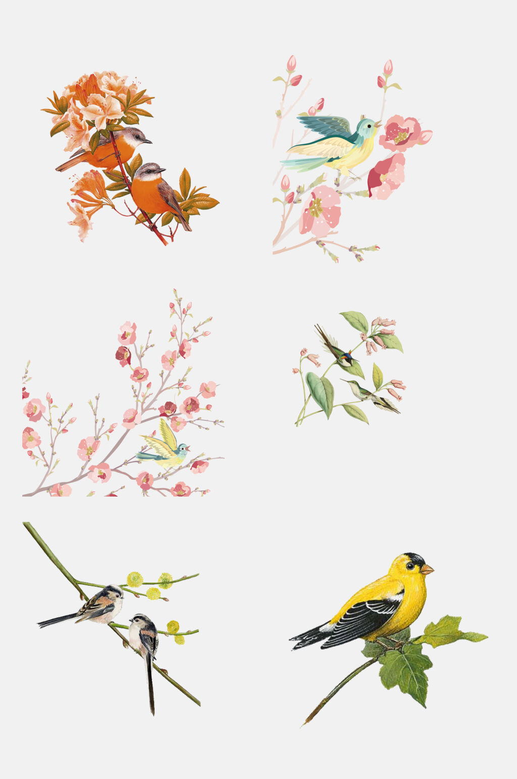 手绘工笔水墨花鸟装饰画元素素材