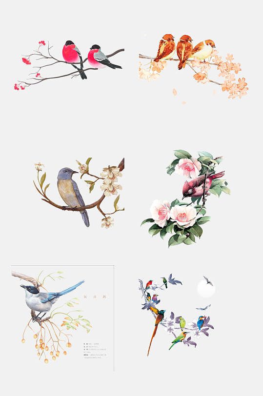 手绘工笔水墨花鸟装饰画元素素材