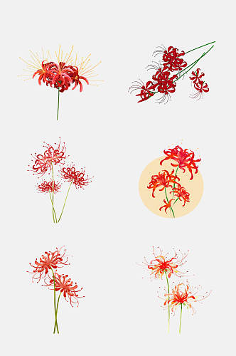 红色彼岸花曼珠沙华花卉元素素材