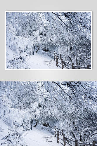 峨眉山雪景雾凇高清图片