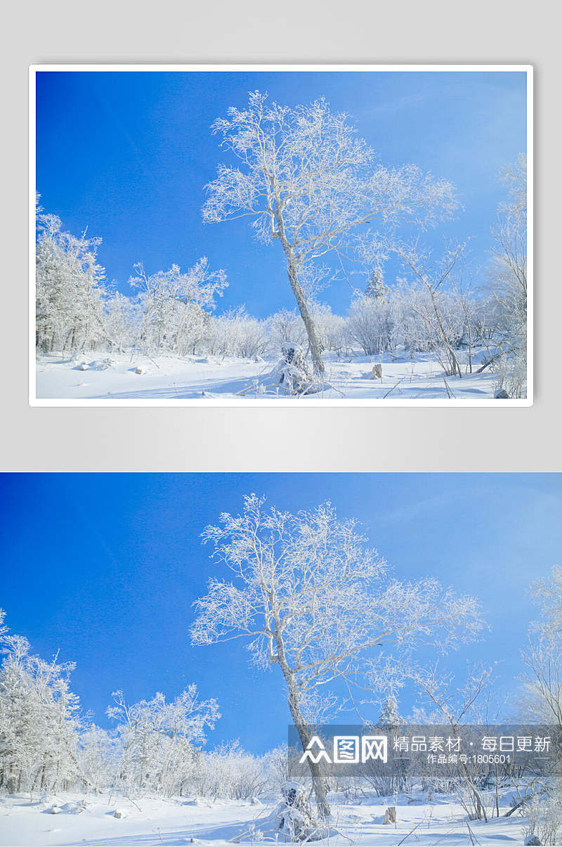 哈尔滨雾凇雪景高清图片素材