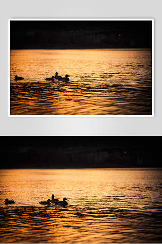 黄昏日出湖泊湖面摄影背景图片