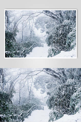峨眉山雪景摄影图片