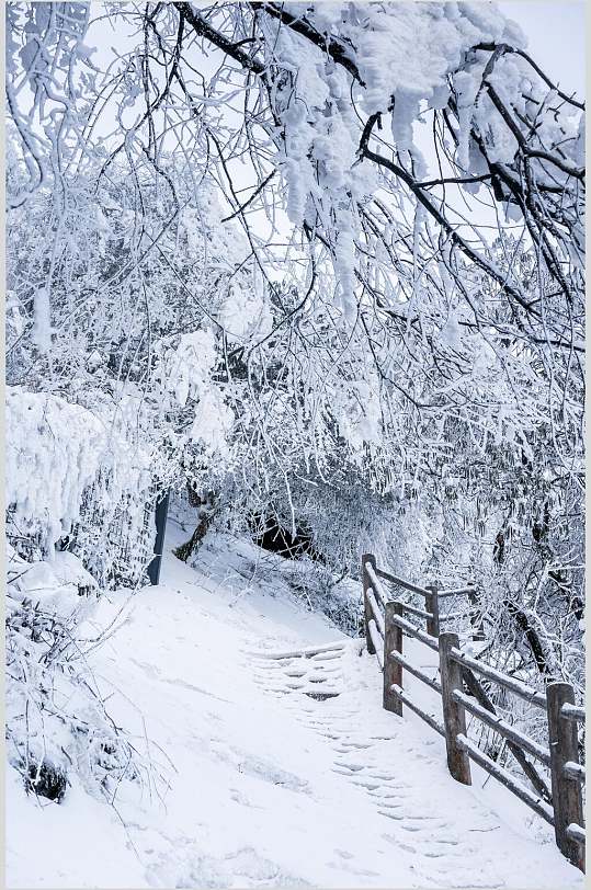 峨眉山雪景图片