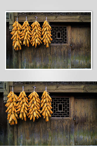 苗寨玉米风景图片
