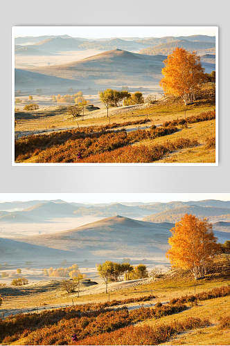 乌兰布统风景秋季阳光草原高清图片