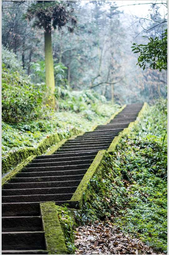 峨眉山山路台阶高清图片