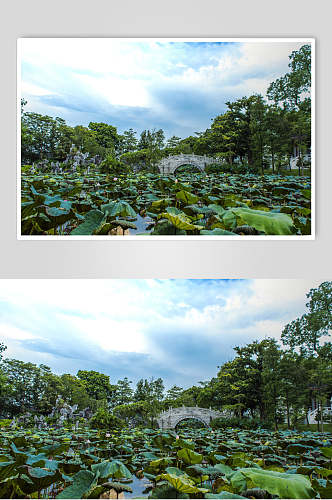 城市中国风古石板桥自然风光背景高清图片