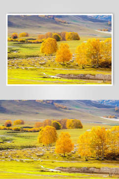 乌兰布统风景摄影背景图片