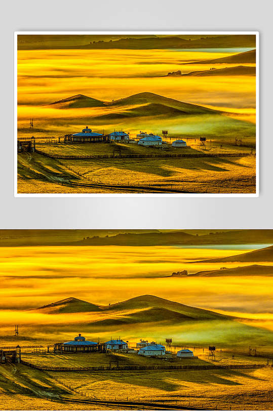 金色乌兰布统风景草原图片