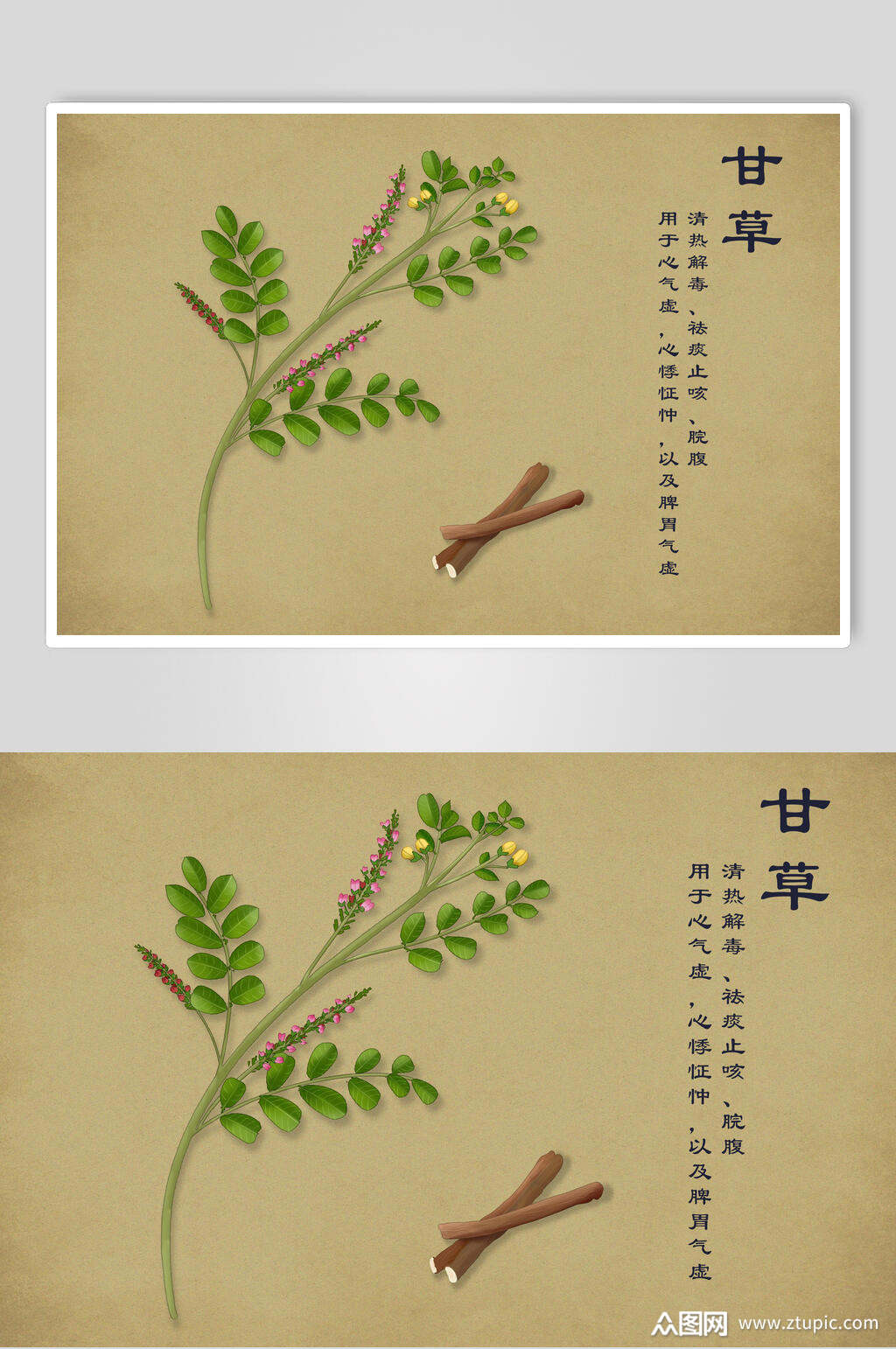 甘草中草药手绘素材元素