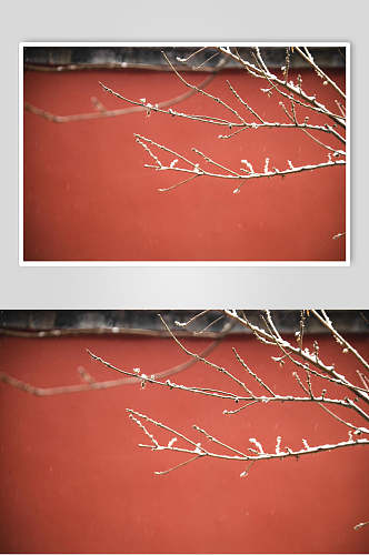 北京故宫红墙的雪景摄影图片